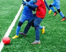 揭秘法国队,世界杯首战,防线阵容,尊龙凯时,尊龙凯时官方网站