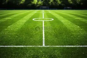 陈威神扑,次力保,加布里埃尔,尊龙凯时,尊龙凯时官方网站