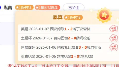 篮球盛宴：湖人巅峰对决灰熊，揭秘焦点之战背后的精彩解析！